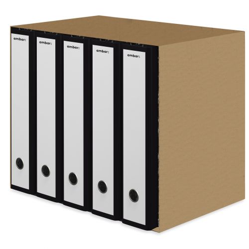 Pasta Arquivo C/Cx L/L Din Ambar Blist - 610 COM CALHA , Ambar , 101601030010 , 5601199166550